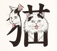 Kanji Widget